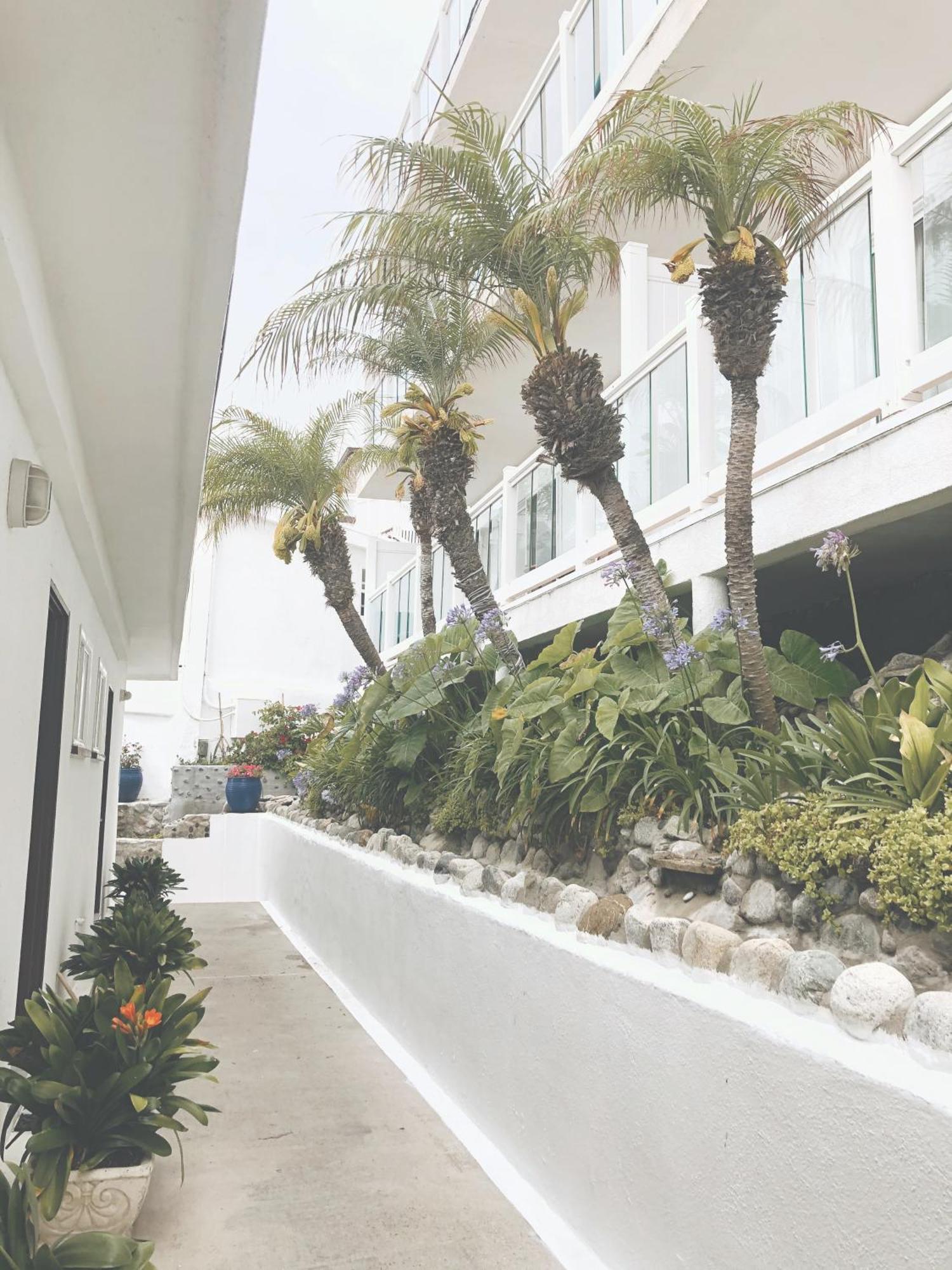 לגונה ביץ' Capri Laguna On The Beach - A Boutique Hotel מראה חיצוני תמונה